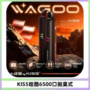 KIS5WAGOO哇酷6500口拋棄式 | 自由混搭雙口味 | 雙芯組合