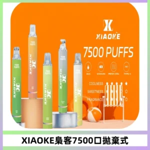XIAOKE梟客7500Puffs跑馬燈拋棄式電子煙 可發光一次性